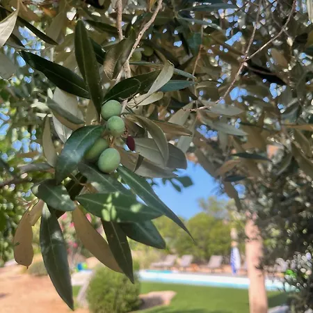 Fiori Vecchio Avec Piscine Privee فيلة بورتو فيكشْيو