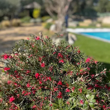 فيلة Fiori Vecchio Avec Piscine Privee *