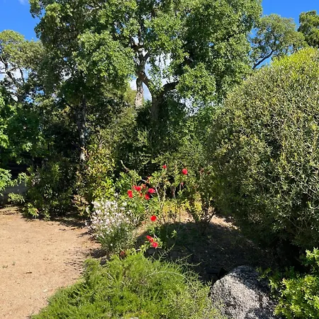 Fiori Vecchio Avec Piscine Privee * بورتو فيكشْيو