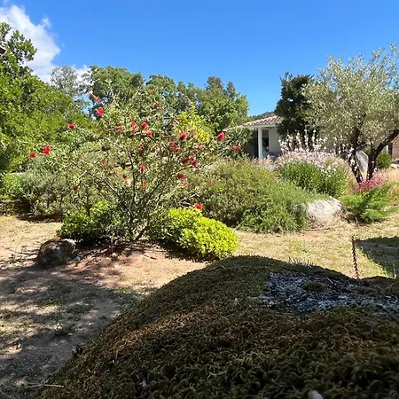Fiori Vecchio Avec Piscine Privée Porto-Vecchio (Corsica)