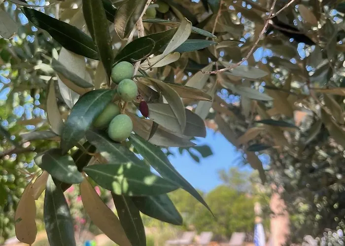 Fiori Vecchio Avec Piscine Privee 别墅 维琪奥港