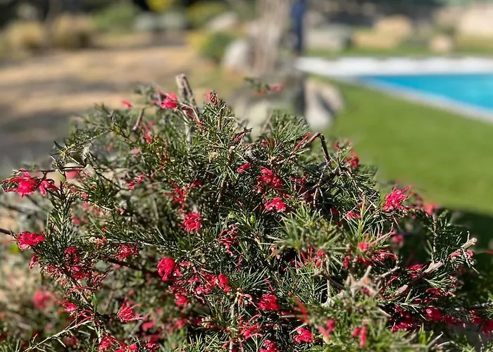 别墅 Fiori Vecchio Avec Piscine Privee *