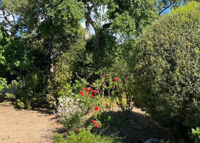 Fiori Vecchio Avec Piscine Privee * 维琪奥港